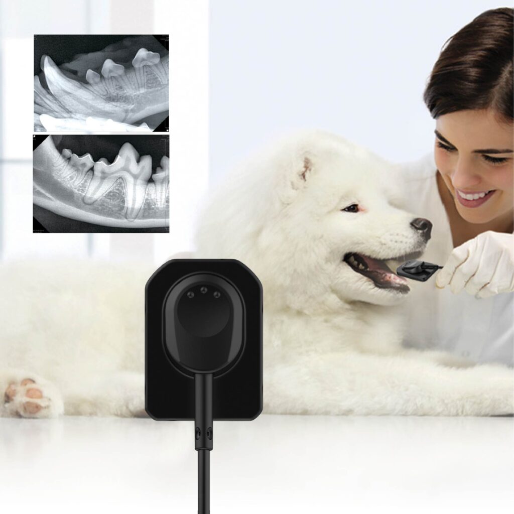 Vetpro Sensor Ez Sensor Vet - MSO Medical Solutions