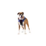Produtos Walkin Pets_Walkin’ Lift Combo Harness – Front-45