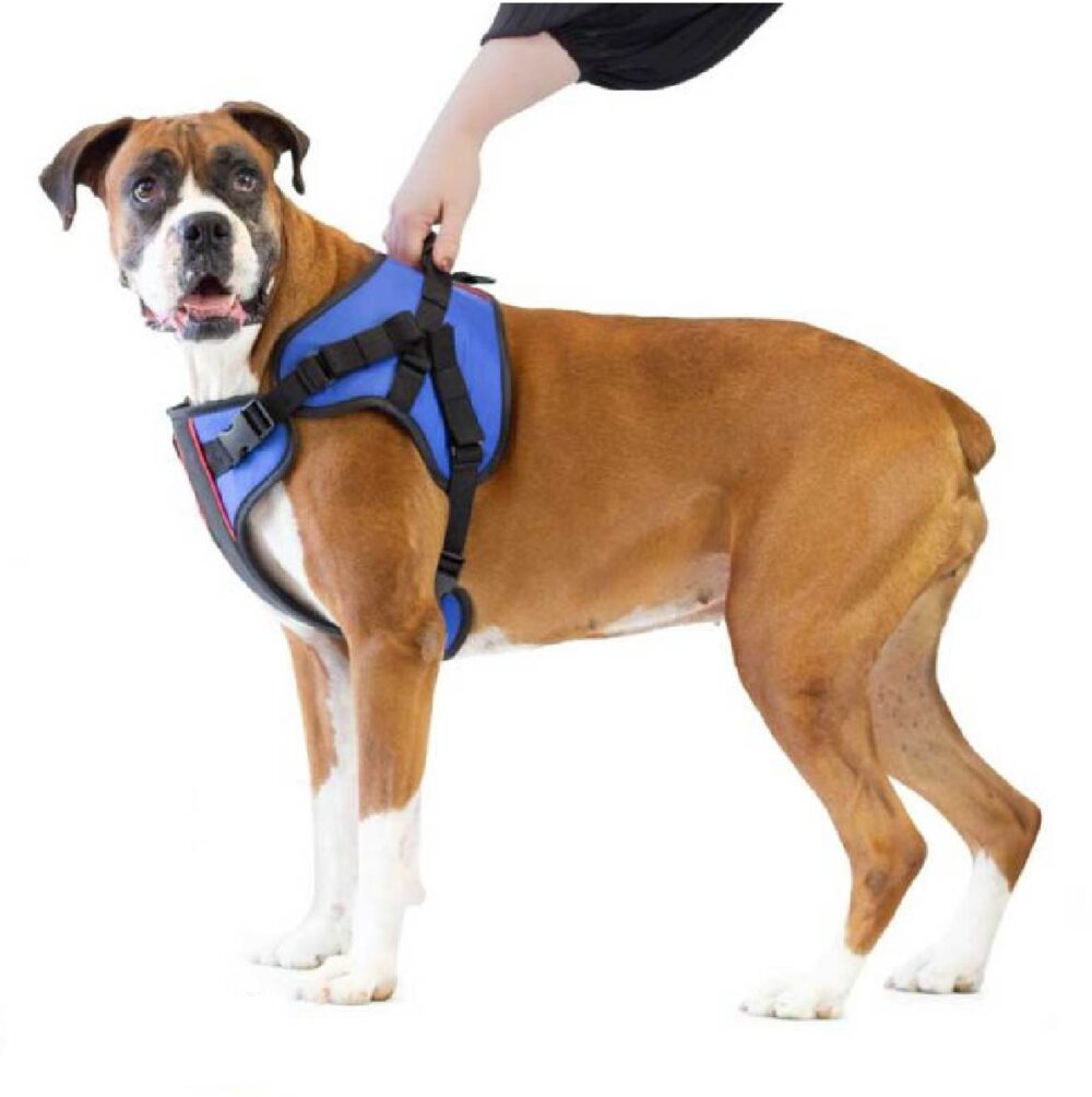Produtos Walkin Pets_Walkin’ Lift Combo Harness – Front-46