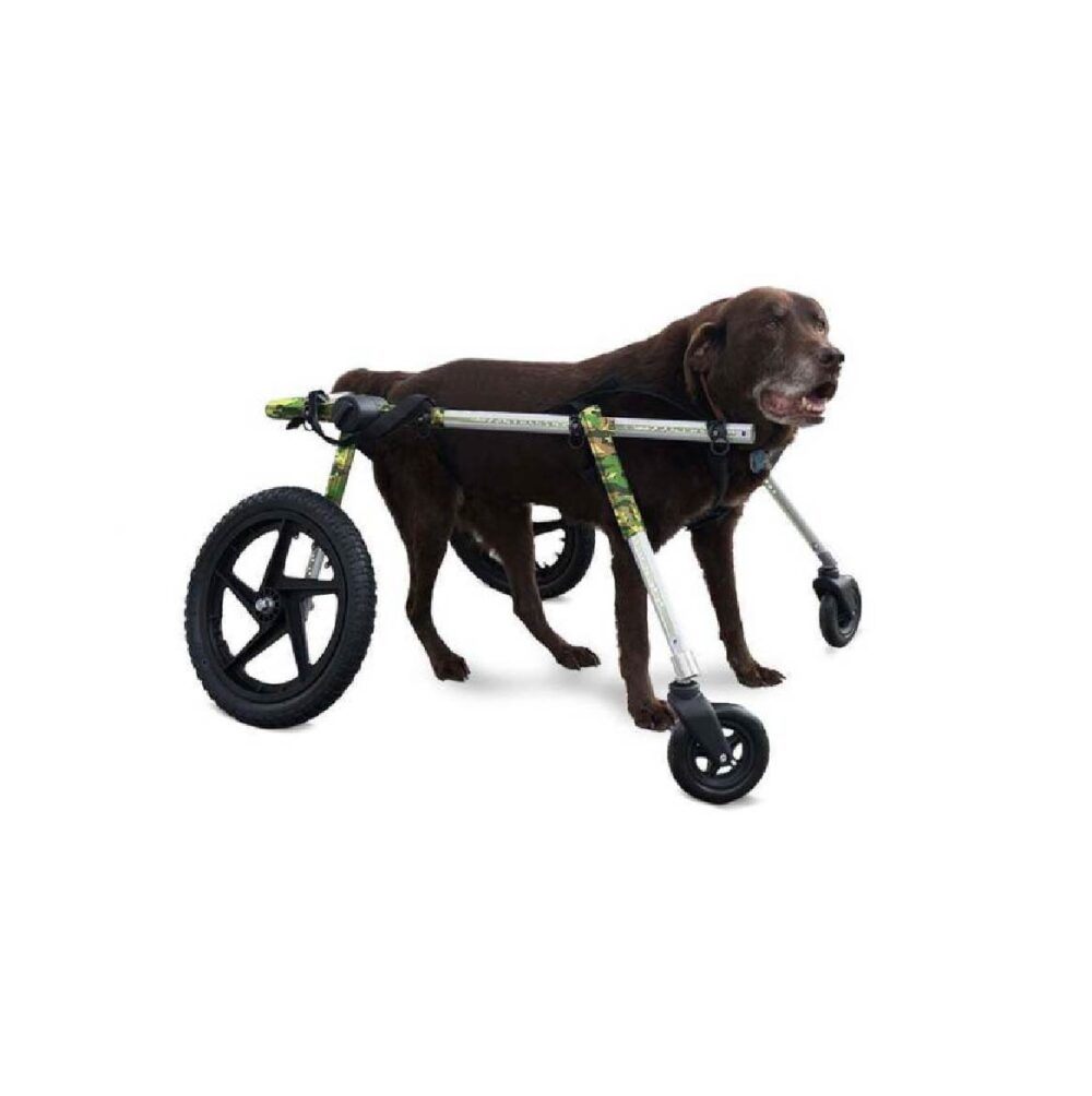 Produtos Walkin Pets_Walkin’ Wheels Full Support-4-Wheel LARGE-41