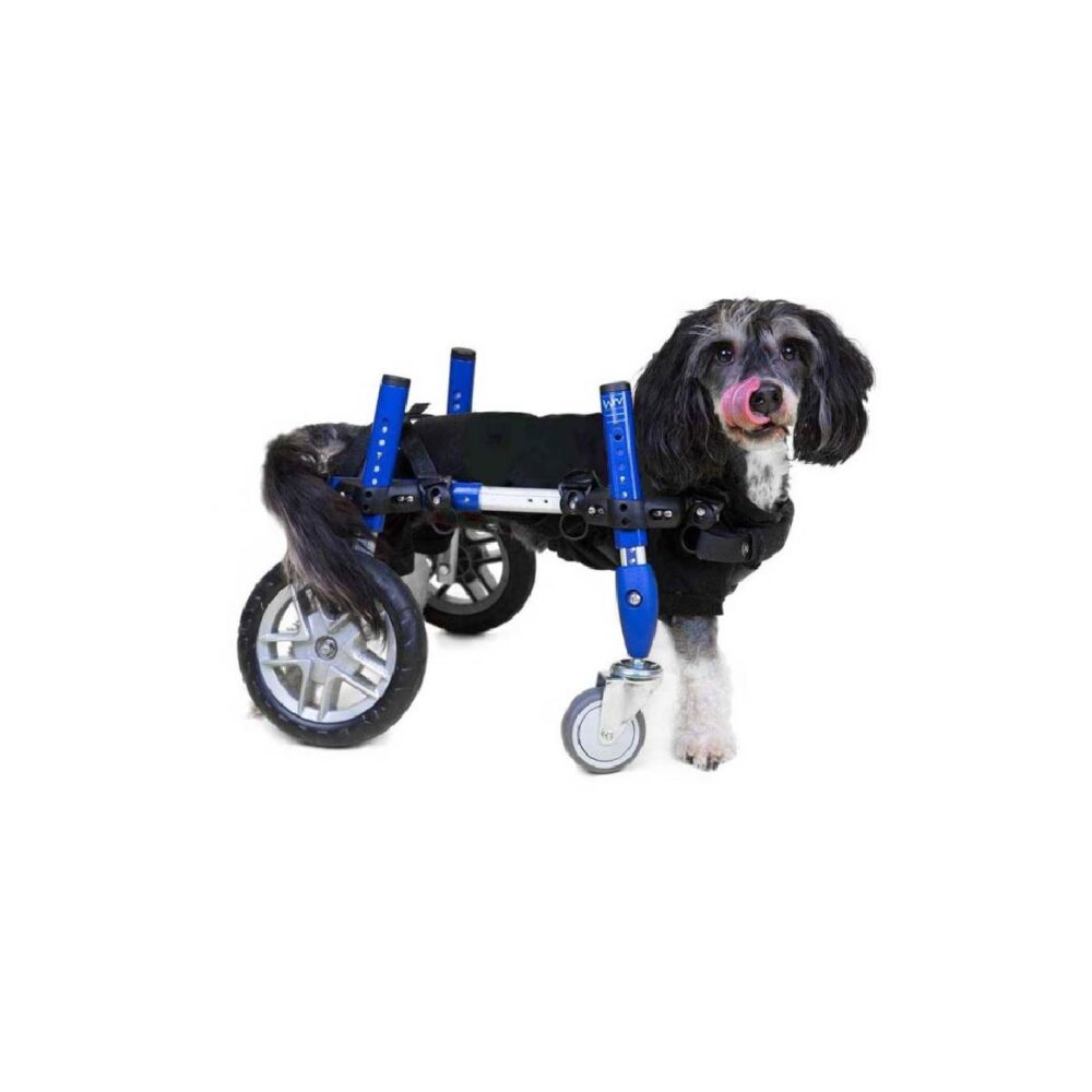Produtos Walkin Pets_Walkin’ Wheels Full Support-4-Wheel SMALL-28