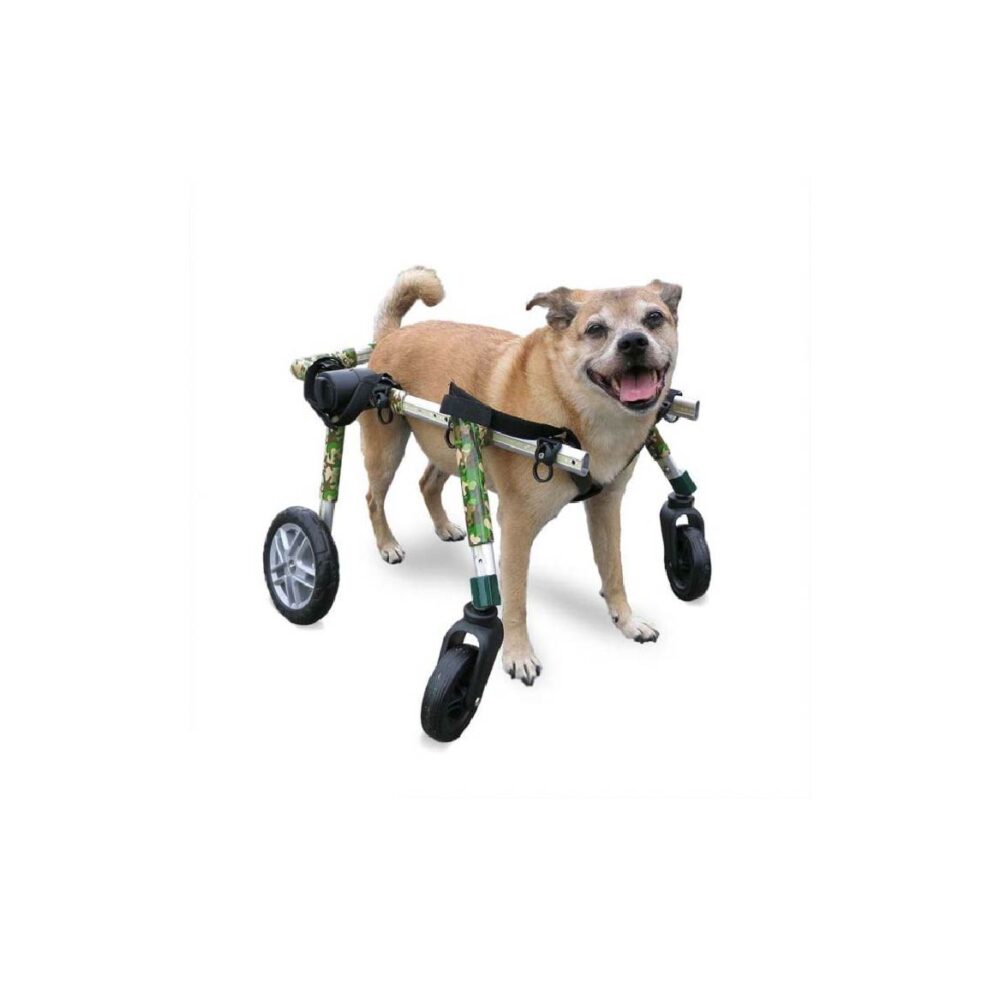 Produtos Walkin Pets_Walkin’ Wheels Full Support4-Wheel Medium-33