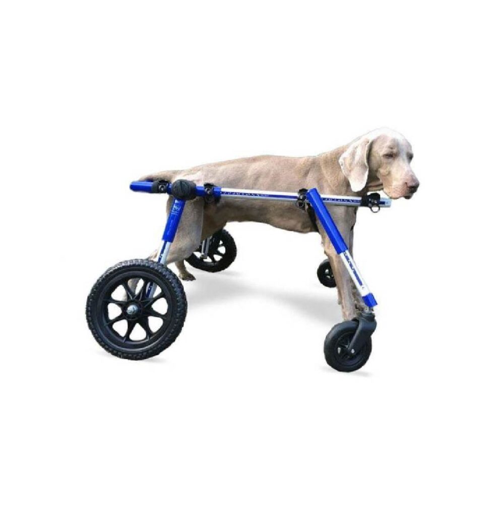 Produtos Walkin Pets_Walkin’ Wheels Full Support4-Wheel Medium-34