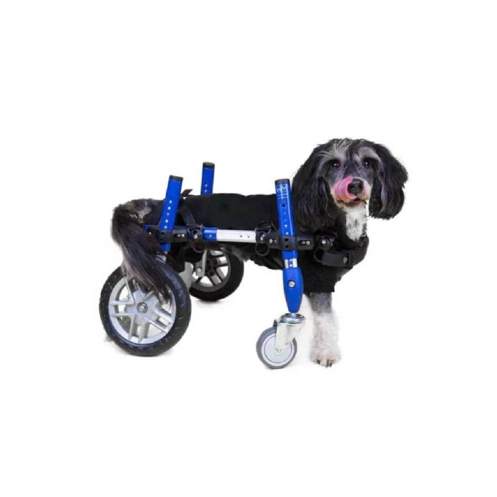 rodutos Walkin Pets_Walkin’ Wheels® Full Support-20