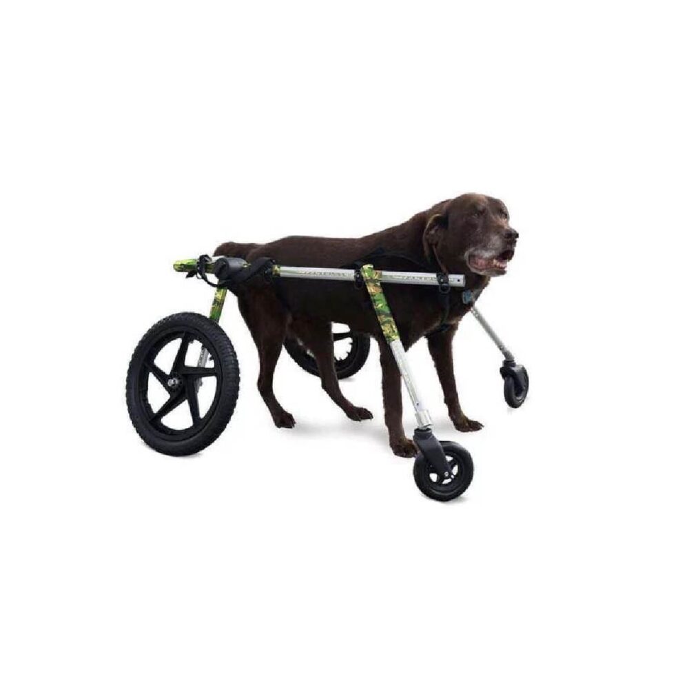 Produtos Walkin Pets_Walkin’ Wheels® Full Support-23