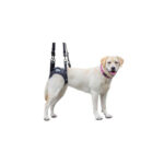 Produtos Walkin Pets_Walkin’ Lift Rear Harness-48