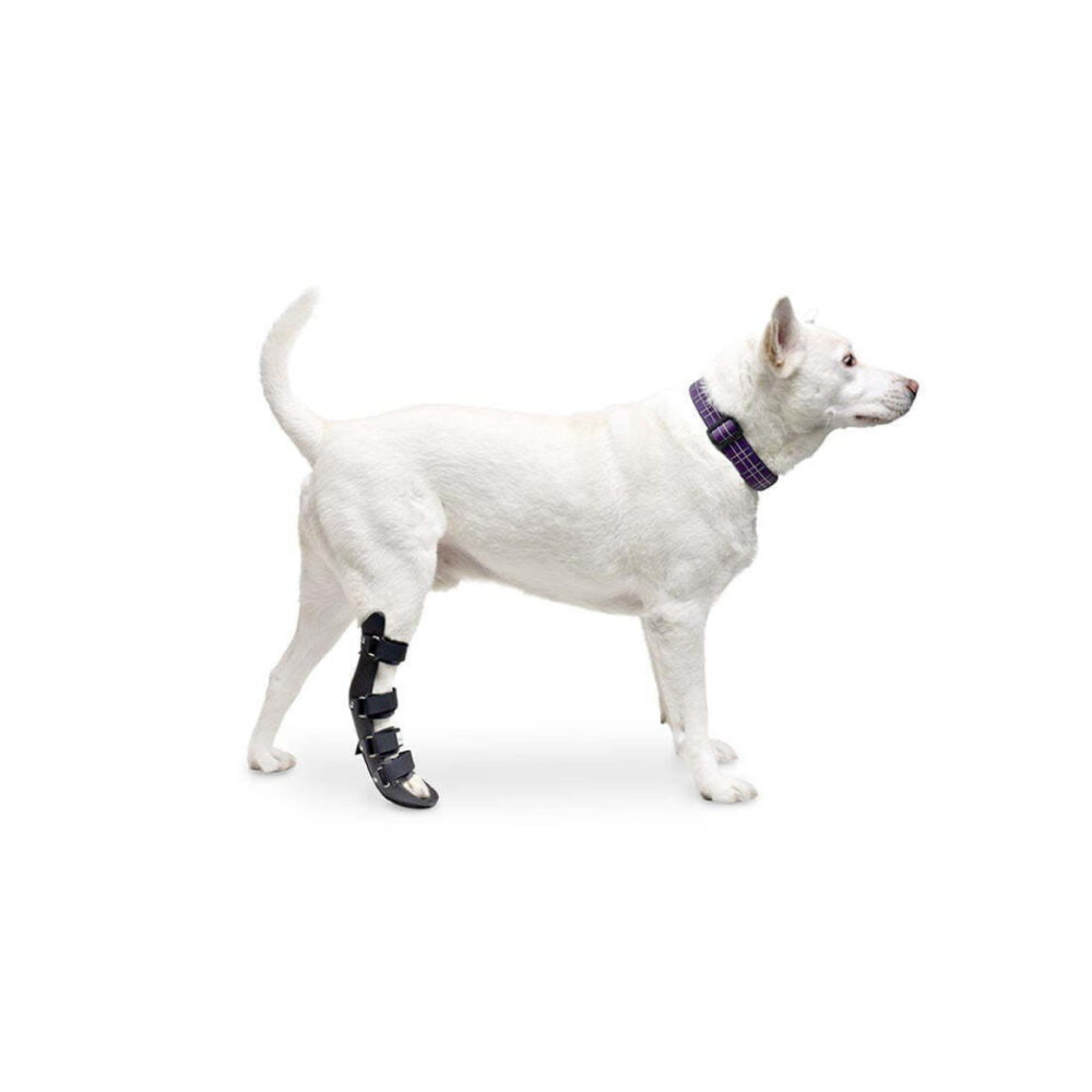Produtos Walkin Pets_Tala ortopédica para pata traseira-98